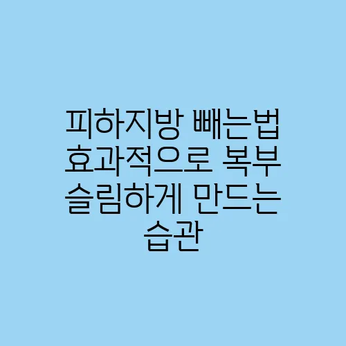 피하지방 빼는법 효과적으로 복부 슬림하게 만드는 습관