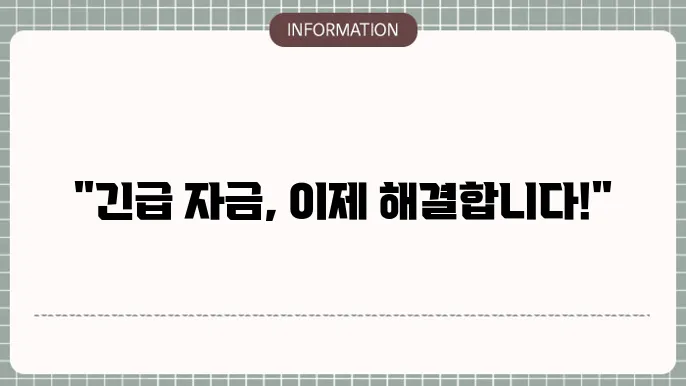 연체자급전: 긴급 자금 짆원