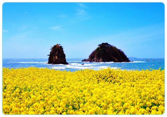 충남-태안-여행-꽃지해수욕장