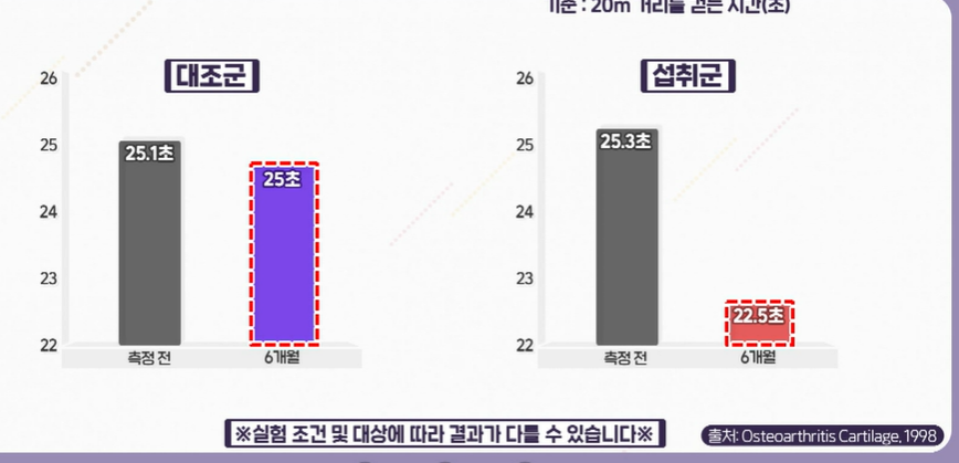 콘드로이친 효능