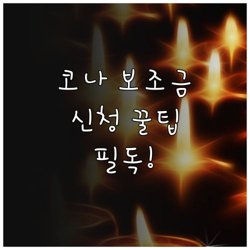 코나 일렉트릭 스탠다드 모델 보조금 ..