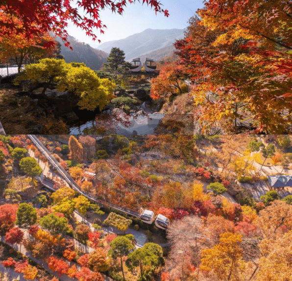 화담숲 단풍 절정시기