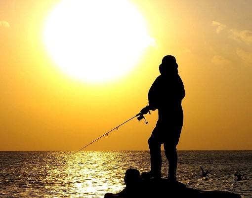 농어, 갈치, 고등어, 광어 바다루어낚시 채비법