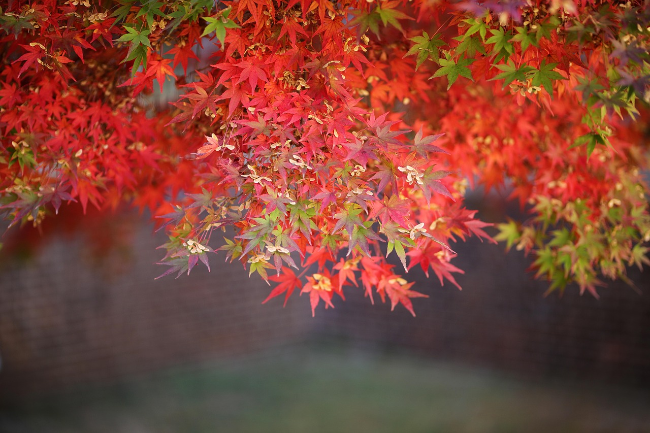 설악산 케이블카
