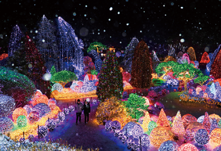 아침고요 수목원