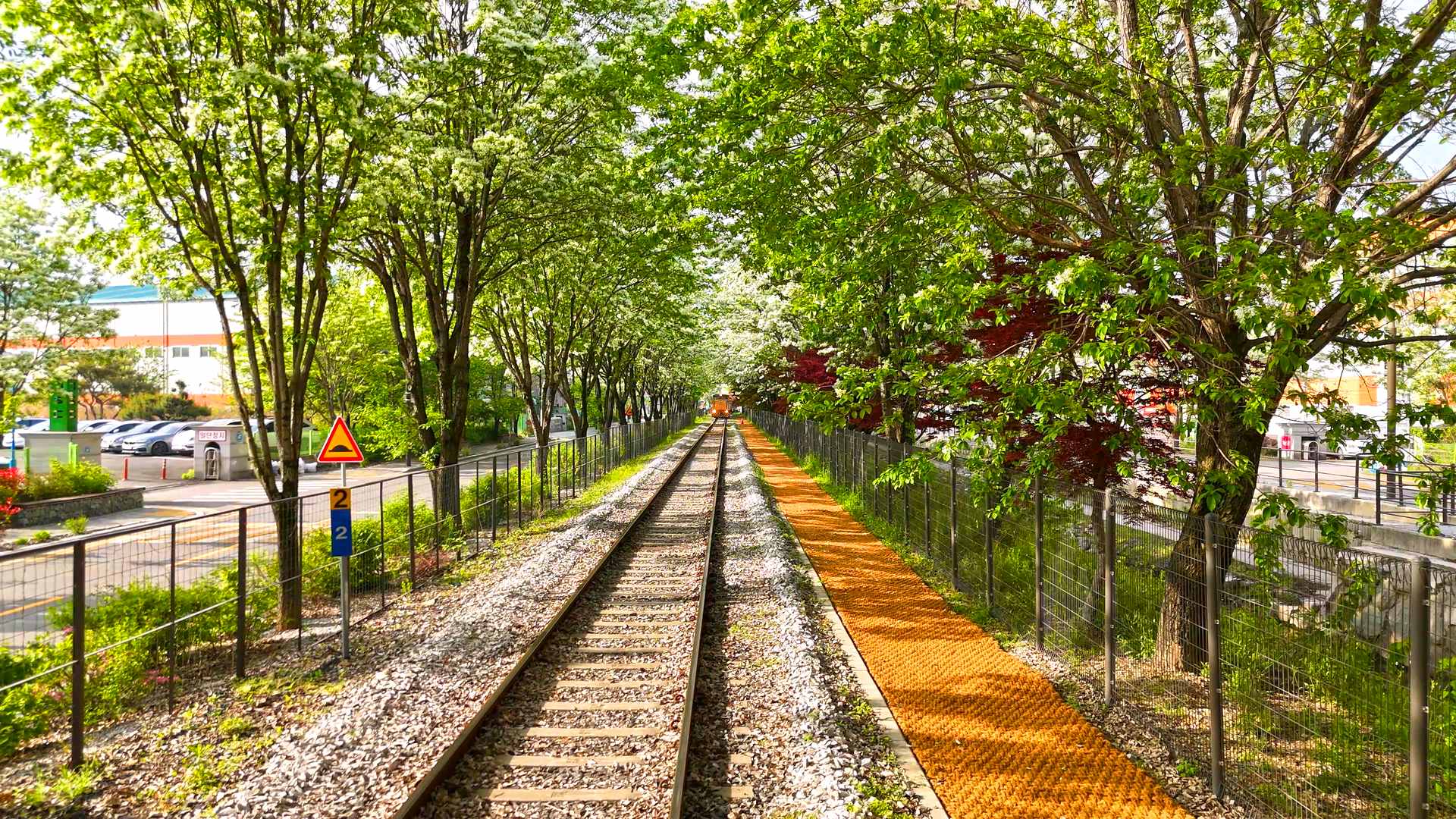 전주 팔복동 이팝나무 철길