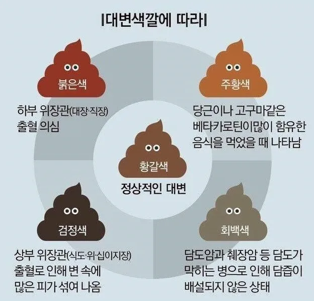 똥이 까만색 검정똥 원인과 질병 가능성_8