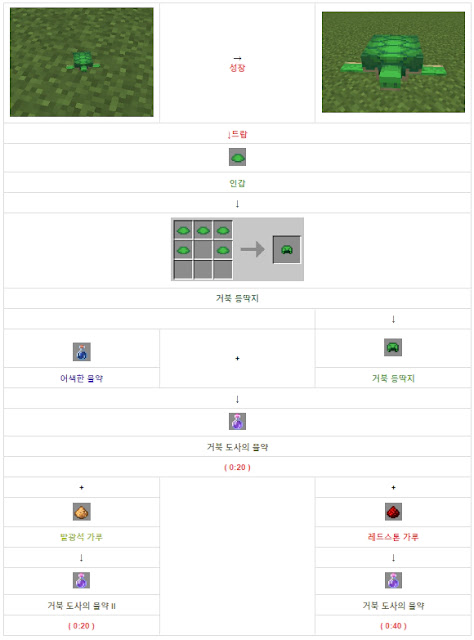거북 도사의 물약