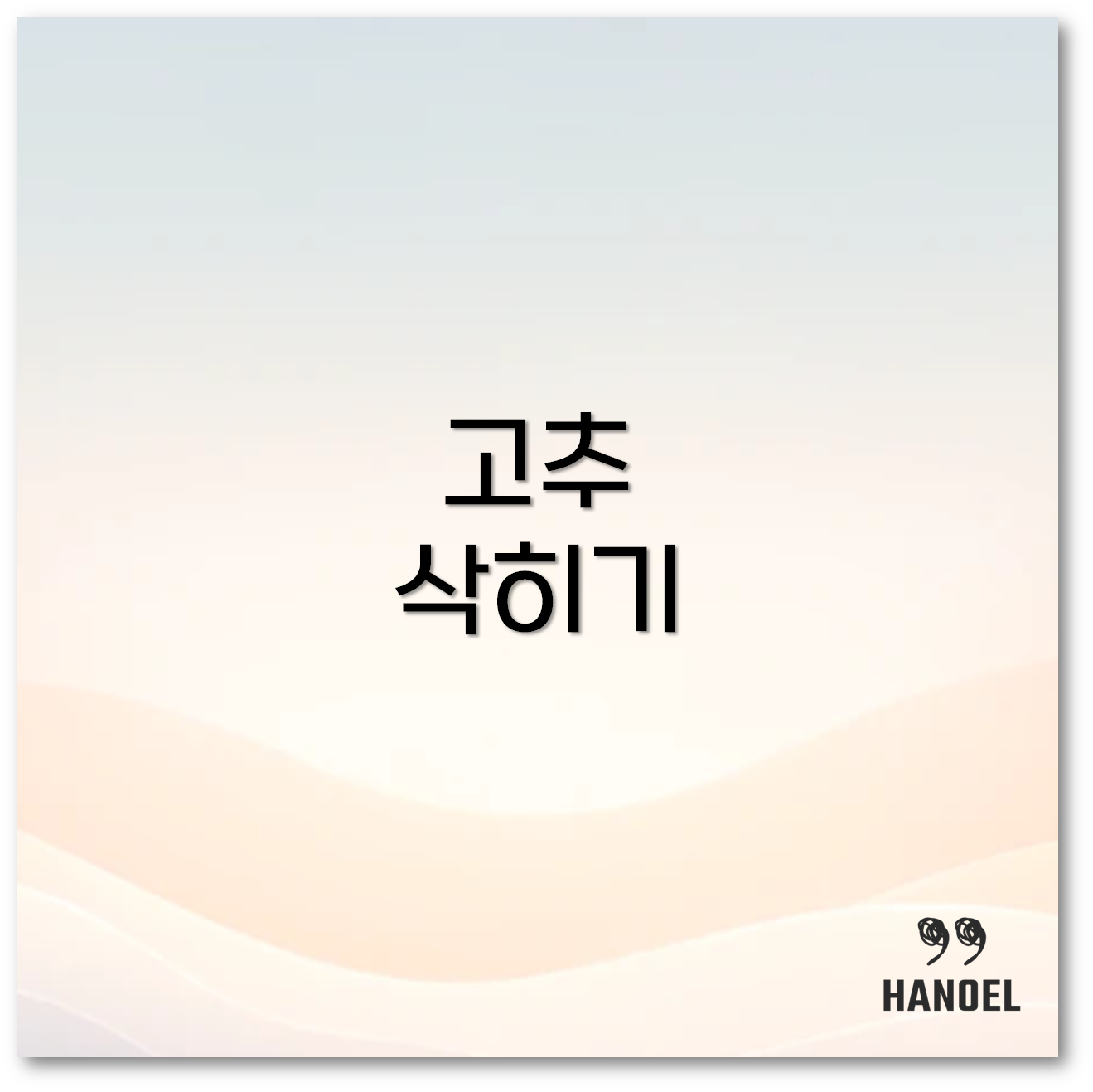 고추삭히기2