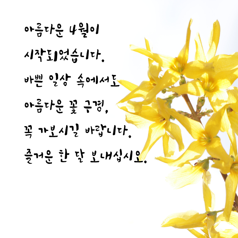 4월 인사말 문구 이미지 모음집