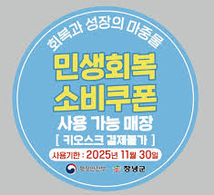 소비쿠폰지역화폐온라인신청16
