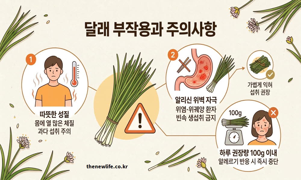 달래 효능과 부작용을 설명하는 이미지