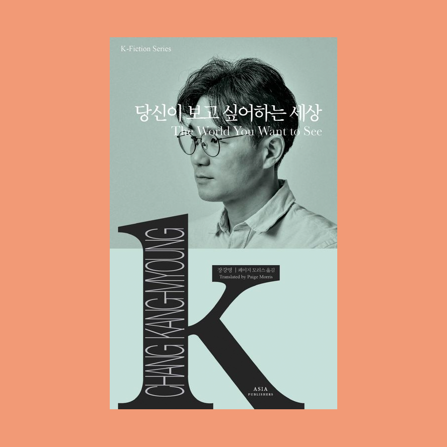 당신이 보고 싶어하는 세상 - 장강명