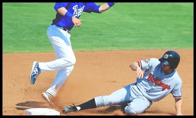 2024 WBSC 야구 프리미어 12 최종 명단 엔트리 확정!