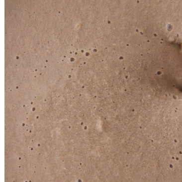 김성령 콩물, 서목태콩물