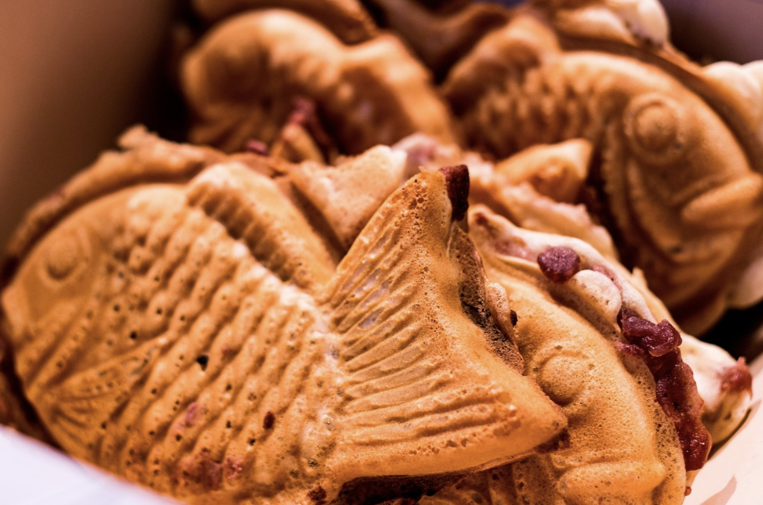 겨울 먹거리여행: 제철 음식&middot;시장&middot;감성 카페 가이드