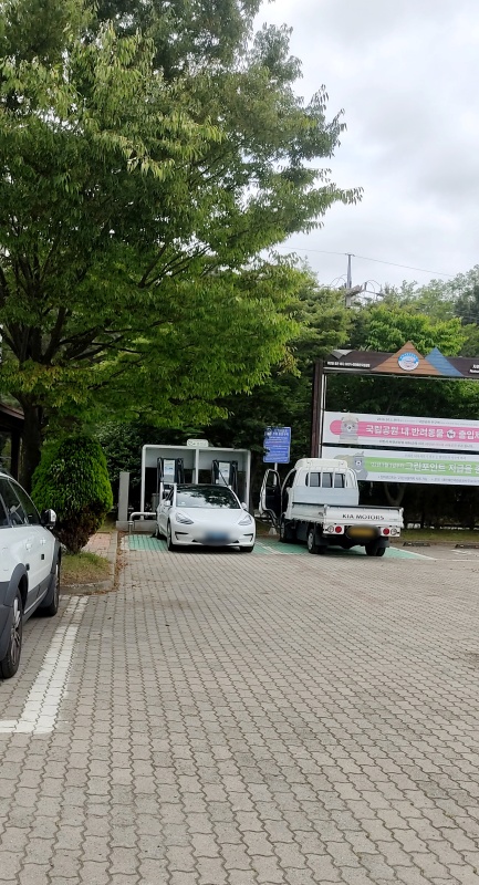 충전중인 미루네 자동차