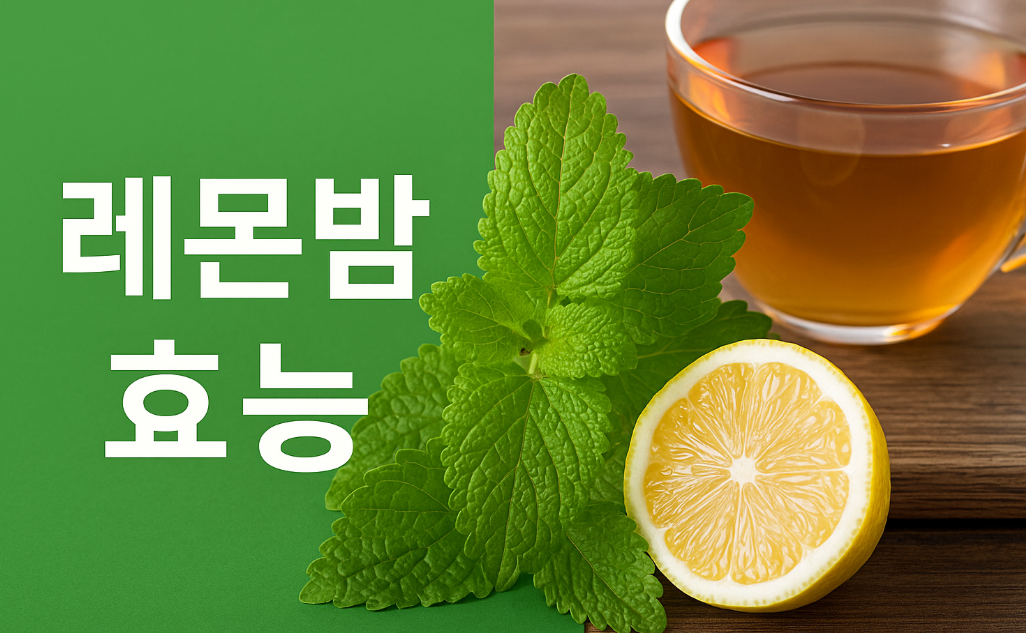 레몬밤 효능