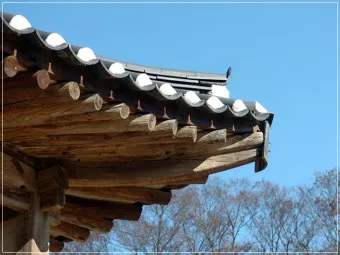 사래가 잘 걸리는 이유 사래 걸렸을때 대처법_13