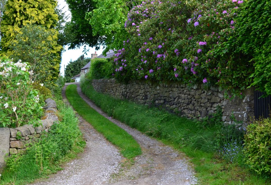 Idyllic country path lined with stone walls and lush flowers, perfect for a serene walk in spring.