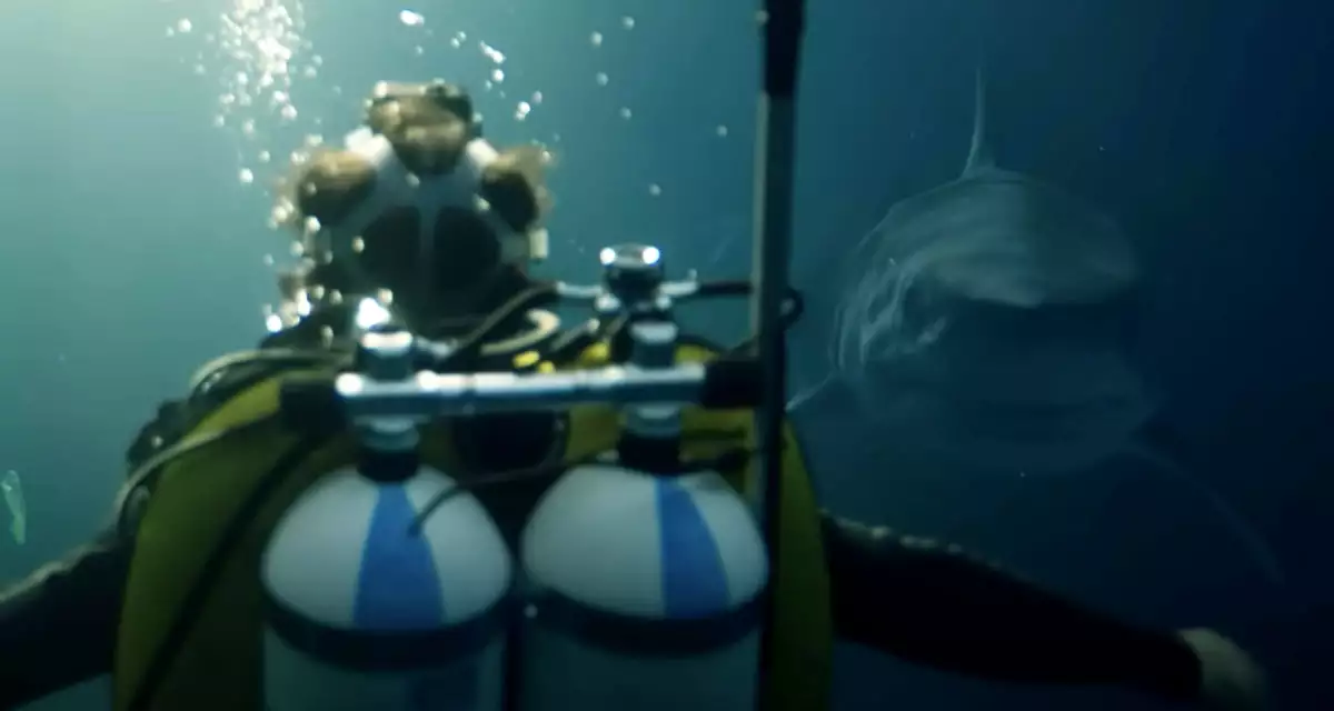 폭파작전 중 상어 대면