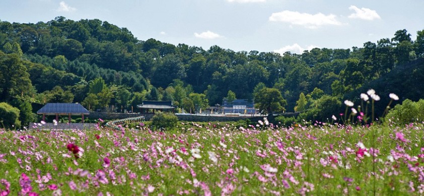 [단풍명소] 가을 여행지 베스트 50 - 서울, 경기도, 충남, 충북, 경북, 경남, 전남, 전북, 강원도, 제주