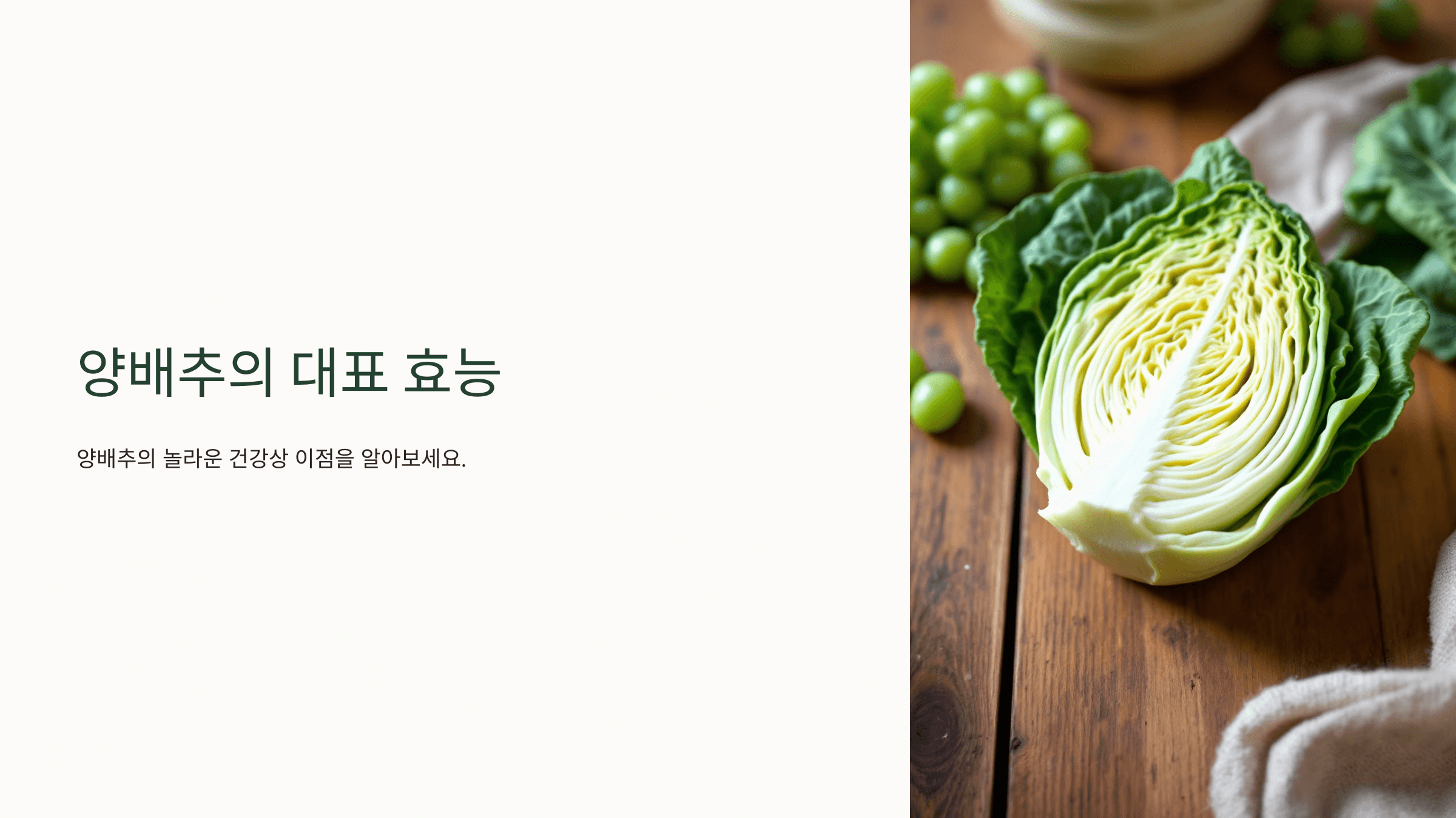 양배추 사진입니다.