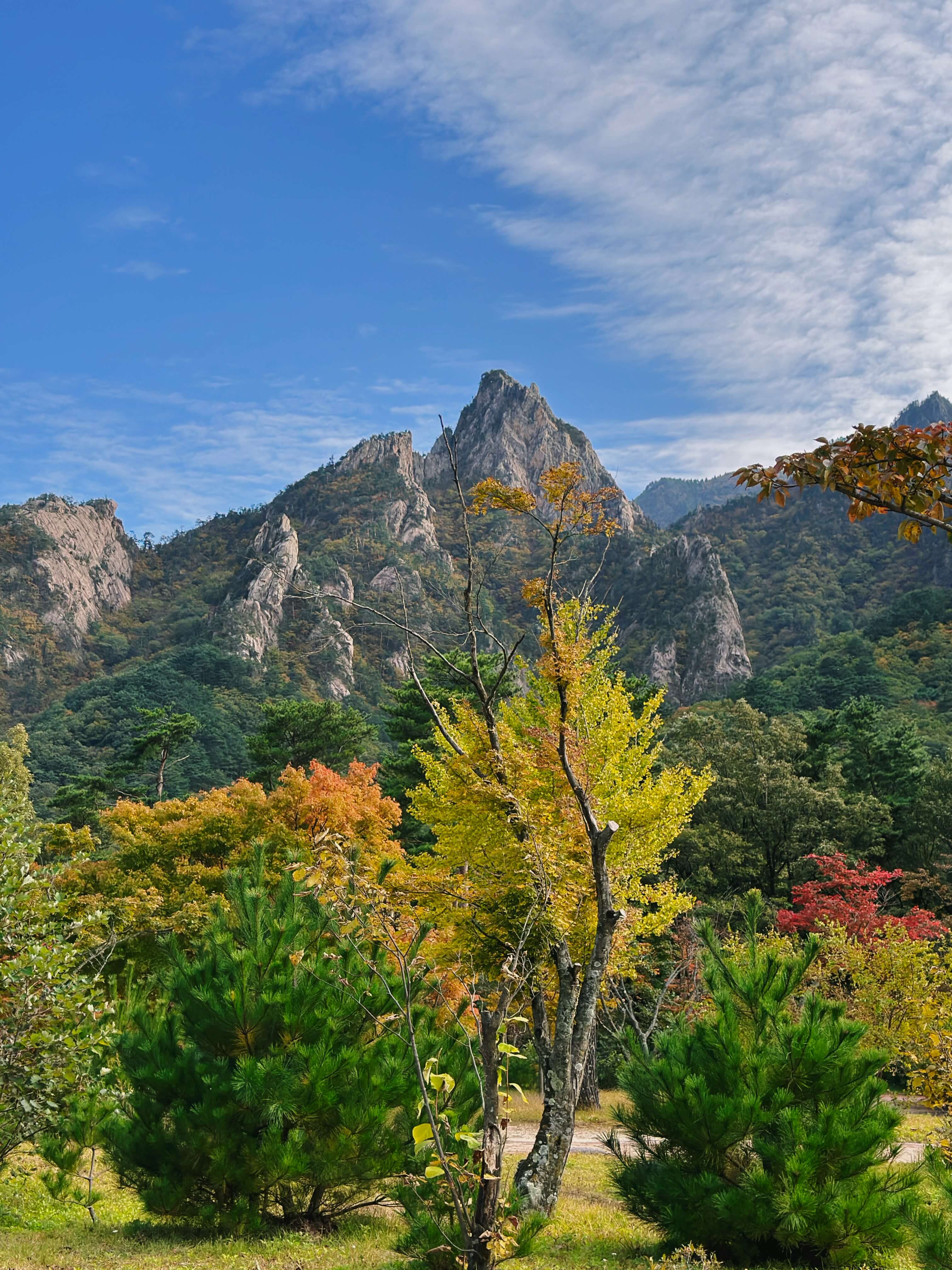 설악산 -등산코스- 완벽 -가이드-14