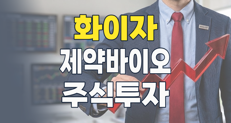 2026년, '화이자 테마' 투자 전략: 글로벌 제약 공룡과의 연결고리 찾기