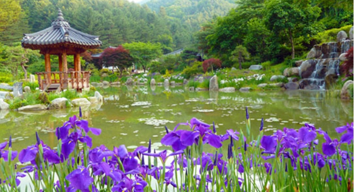 스트림가든 이미지