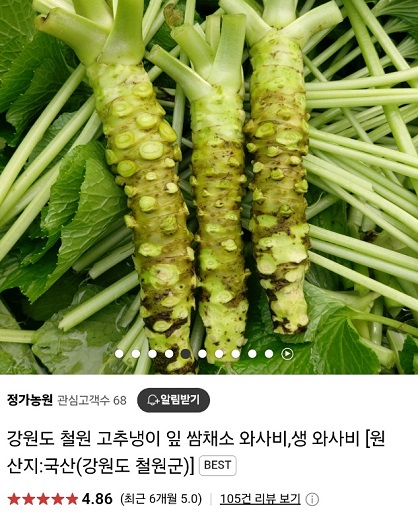 6시내고향-철원-고추냉이-정가농원-고추냉이잎