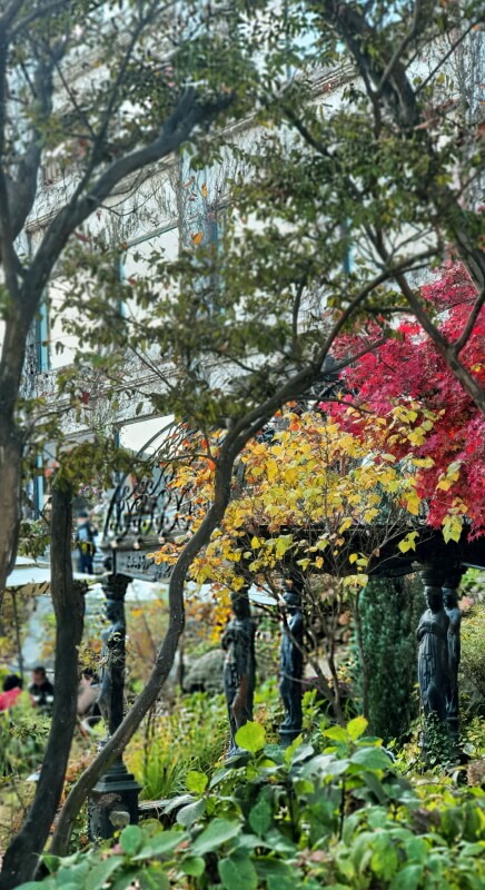 카페-대너리스-유럽풍-정원-단풍