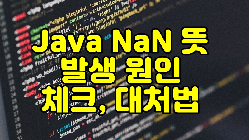 [Java] NaN 뜻, 발생 원인, 체크, 대처법 메인 이미지
