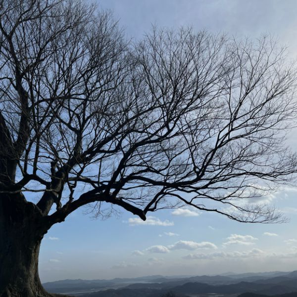 부여 가림성