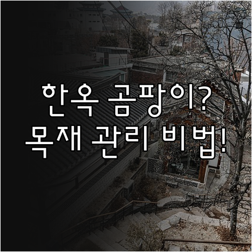 한옥 곰팡이 증식 임계 조건과 목재 ..