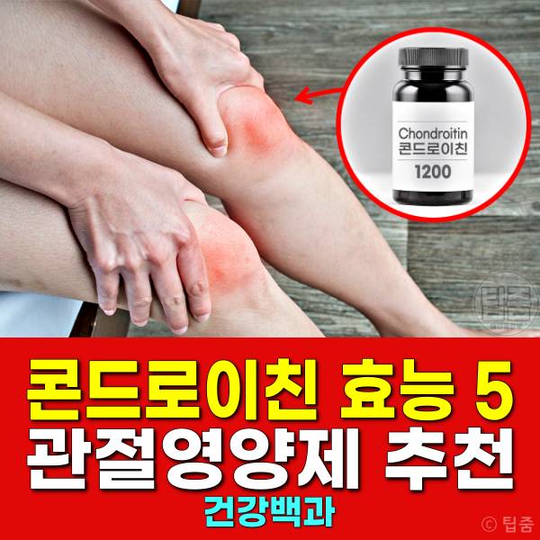 관절영양제 콘드로이친 효능 부작용 권장량 글루코사민 차이