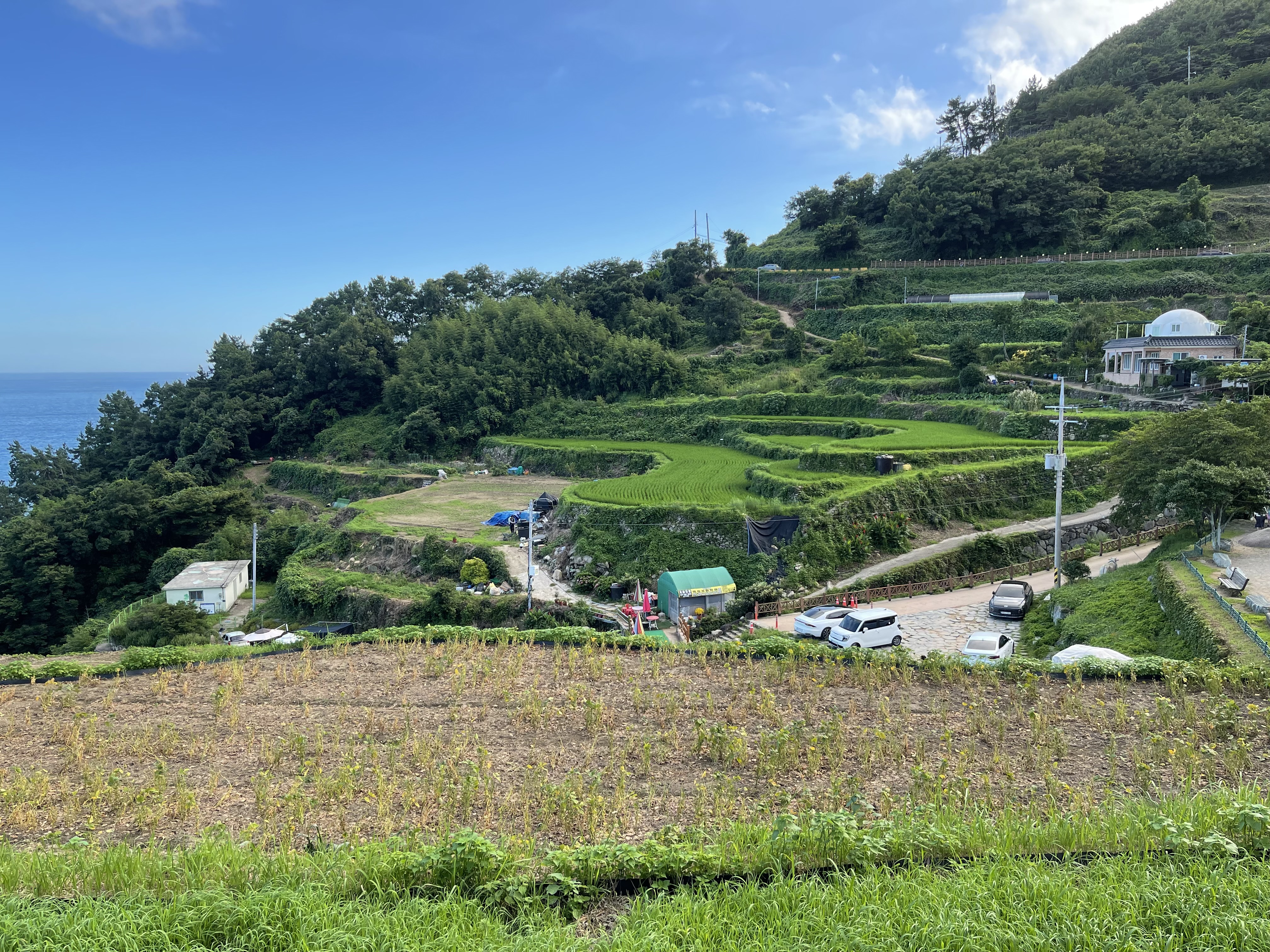 남해 다랭이 논과 바다