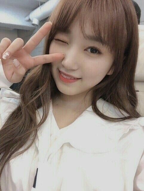 아이즈원 야부키나코 아이즈원 야부키나코