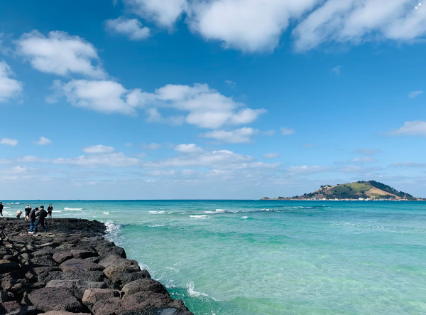 제주도 렌트카 비교사이트 추천 7곳 비교 분석