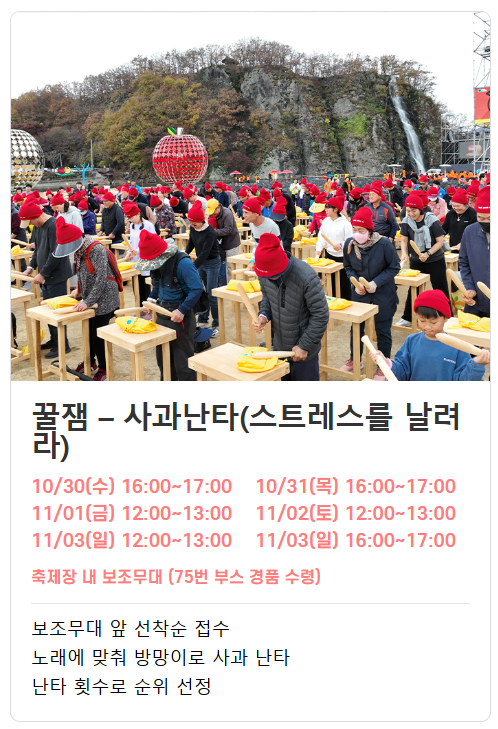 청송사과축제