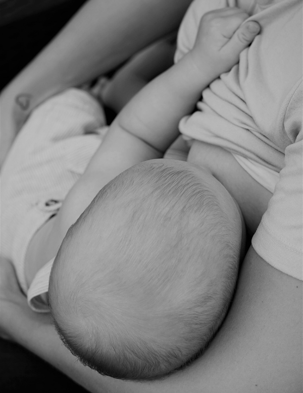 모유수유 중인 사진