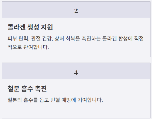 콜라겐 생성 지원