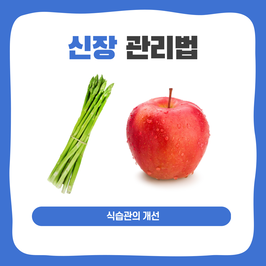 신장 관리를 위해서는 식습관 개선이 필요한데요. 신장에 좋은 음식으로는 사과, 아스파라거스 등이 있습니다.