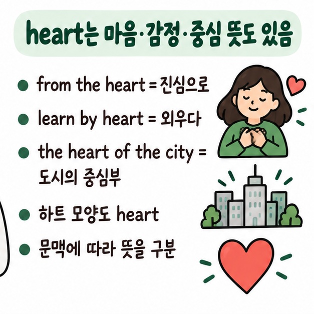 heart가 신체 장기 외에도 마음과 감정, 중심이라는 뜻으로 쓰이며 from the heart와 learn by heart 같은 표현을 보여주는 카드