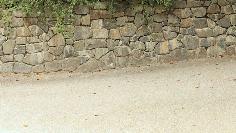 여성 자전거 추천 - AU테크 스카닉 5X