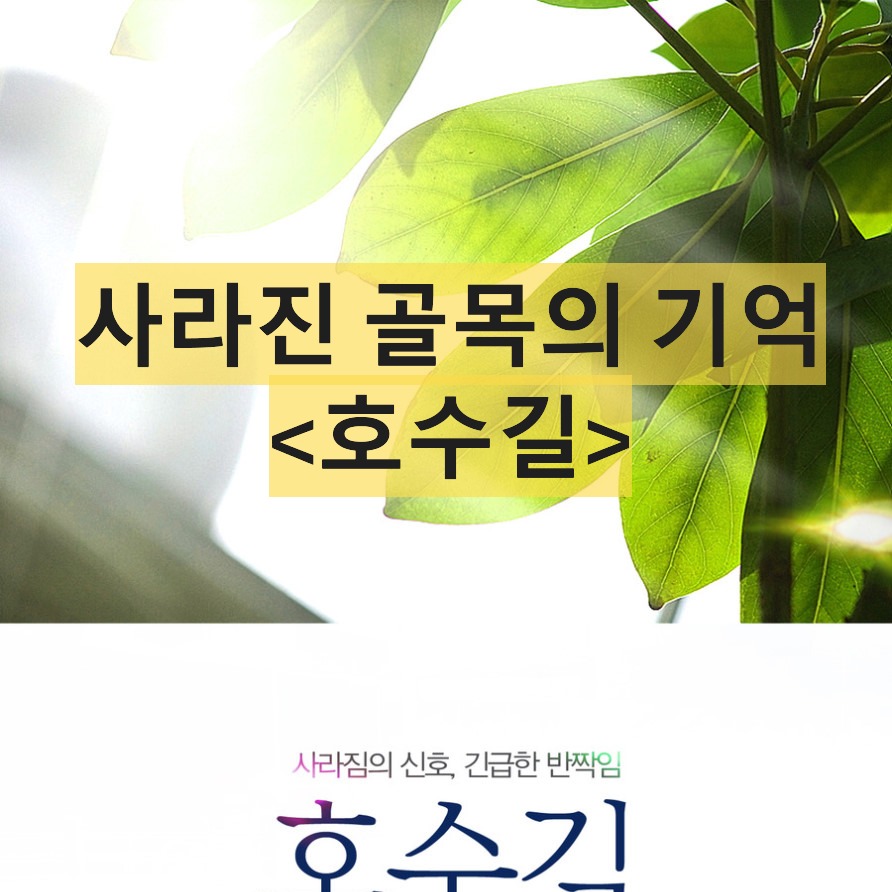 호수길-Hosu-gil(Ho Su-gil)-정재훈