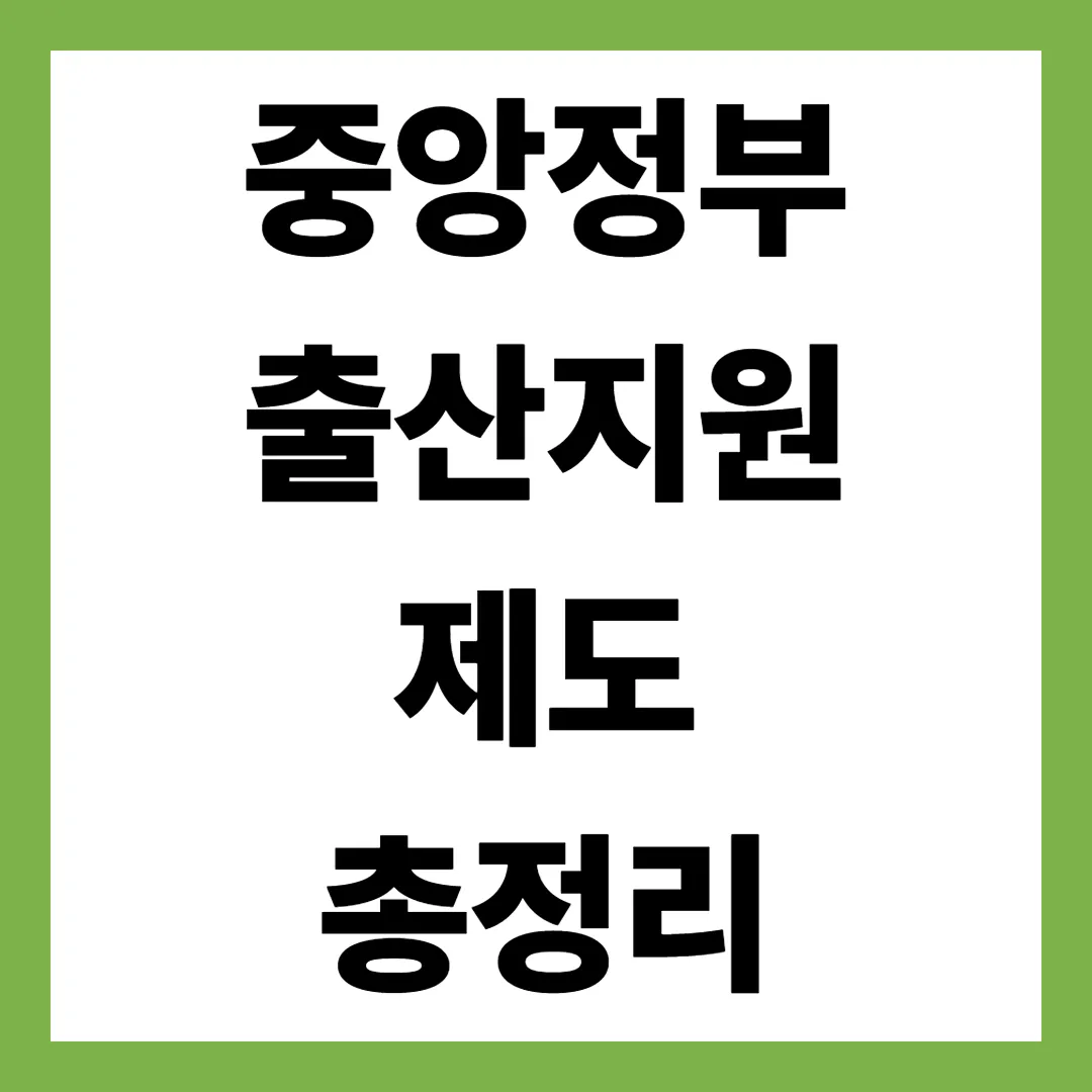 2025 중앙정부 출산지원제도 총정리|첫만남이용권·부모급여·임신출산진료비 한눈에 보기
