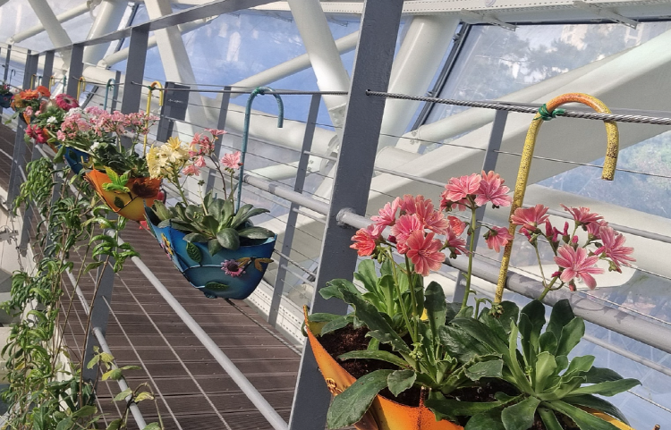 부천호수식물원 수피아