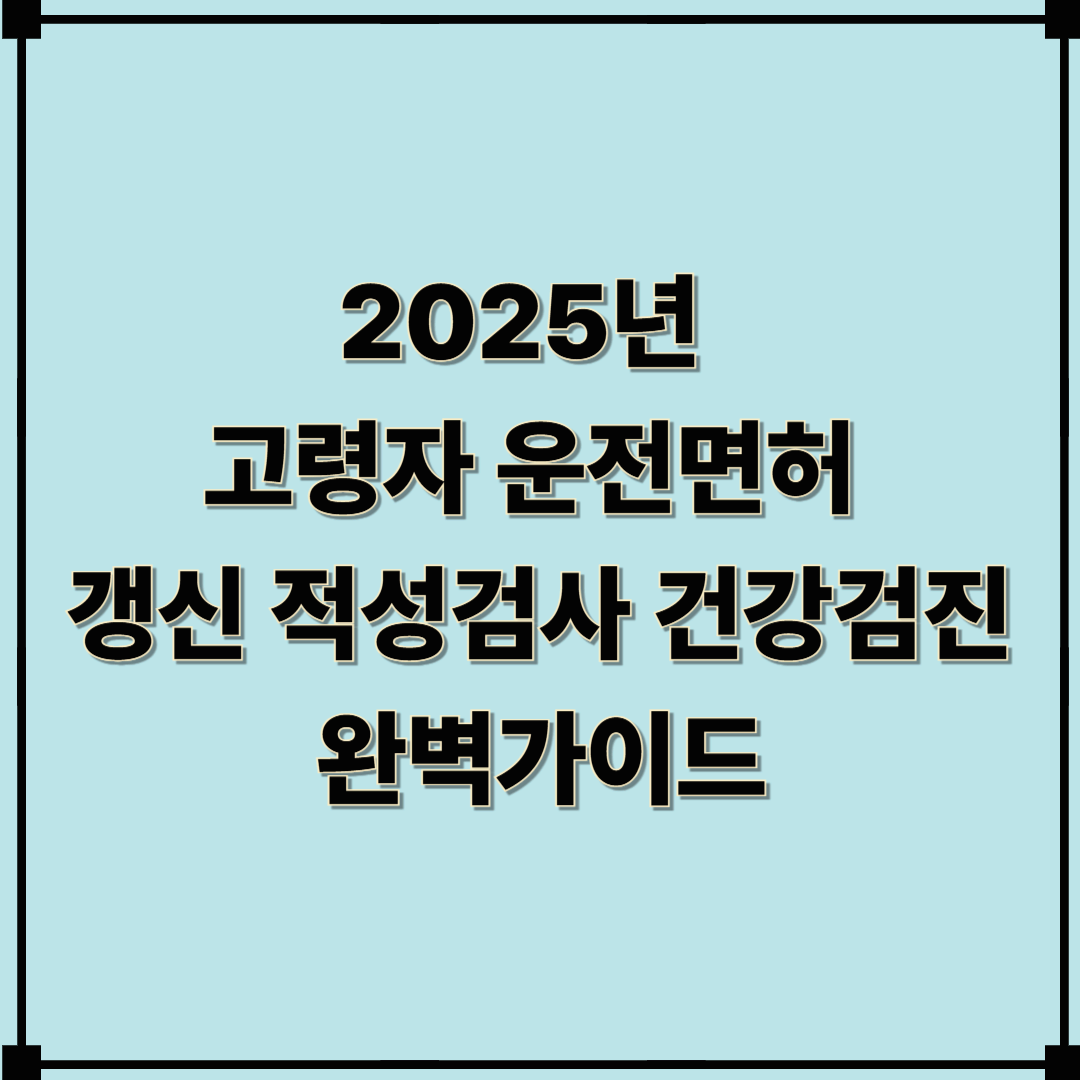 2025년 고령자 운전면허 갱신·적성검사·건강검진 완벽 가이드