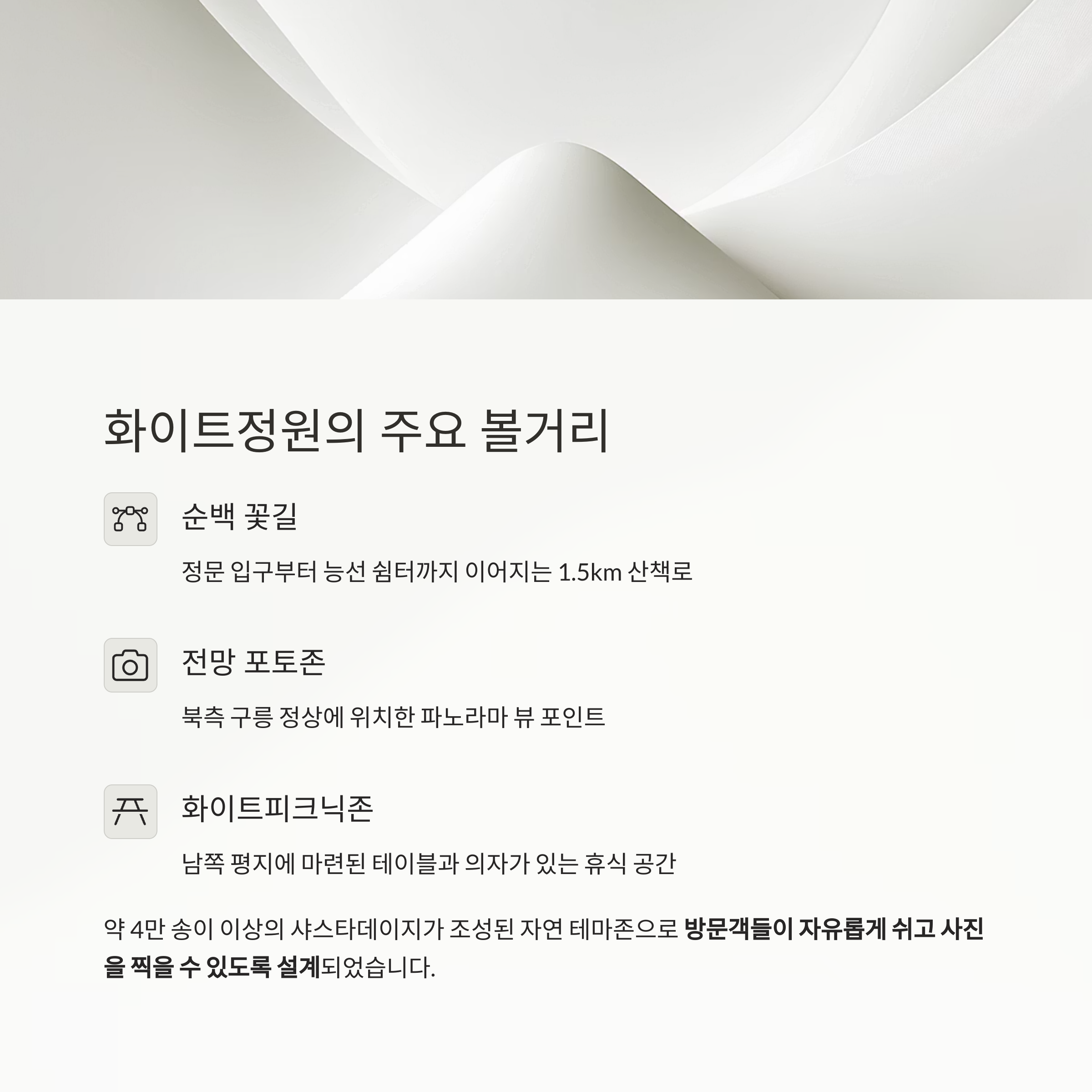 2025 장산도 샤스타데이지 축제, 순백의 정원이 전하는 평화의 풍경